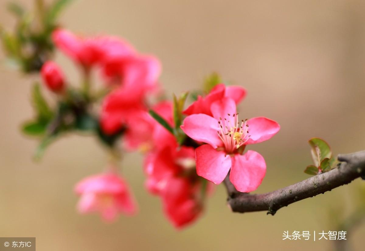 落花网，全新在线观影体验，热门电影电视剧尽在其中