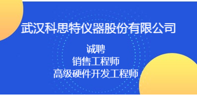 武汉人才网最新招聘信息大全，职场精英招聘导航