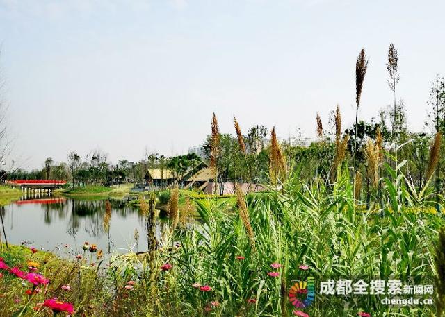 成都中和湿地生态建设蓬勃发展，最新消息一览