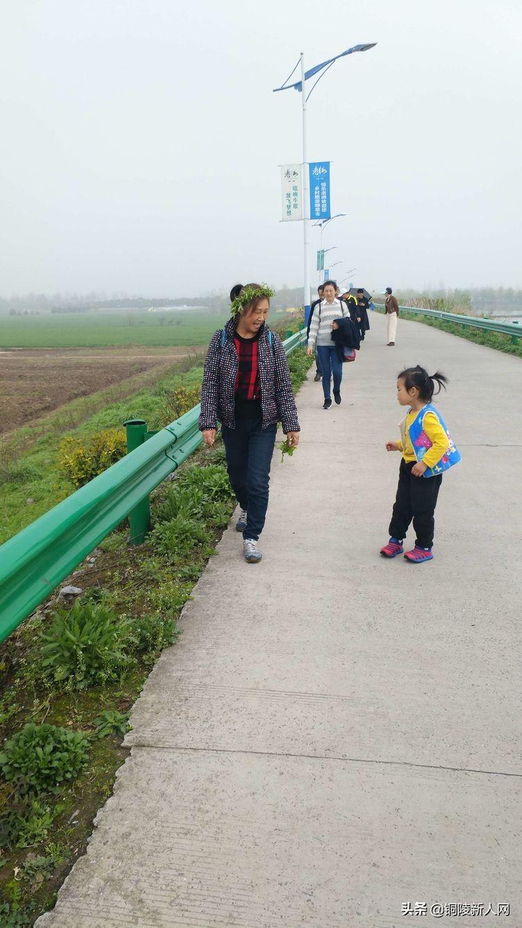 铜陵市老洲乡未来繁荣蓝图规划揭秘