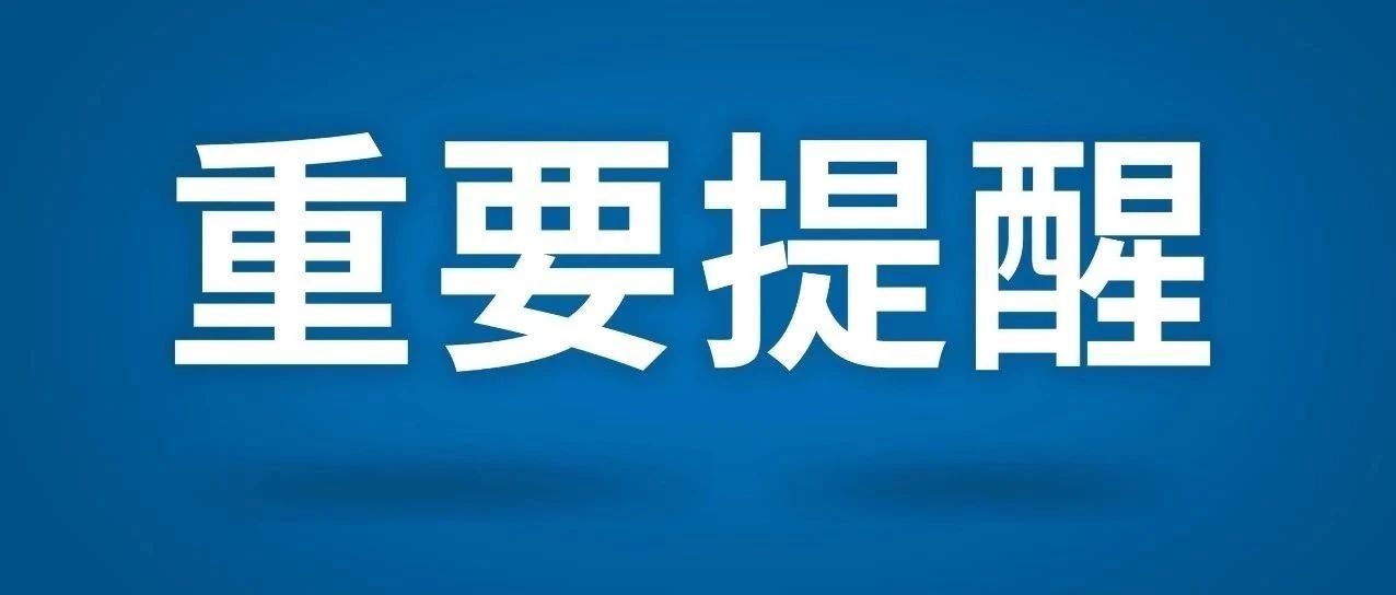 通产丽星重组动态及企业变革展望，最新消息揭示未来路径