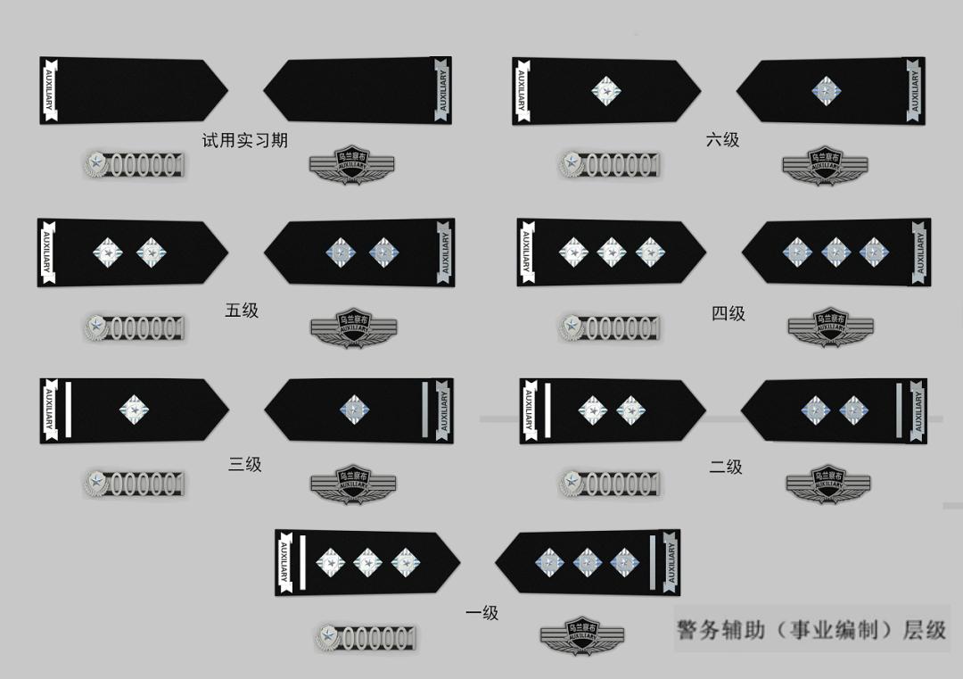 上海协警改革最新动态，重塑城市安全管理新篇章