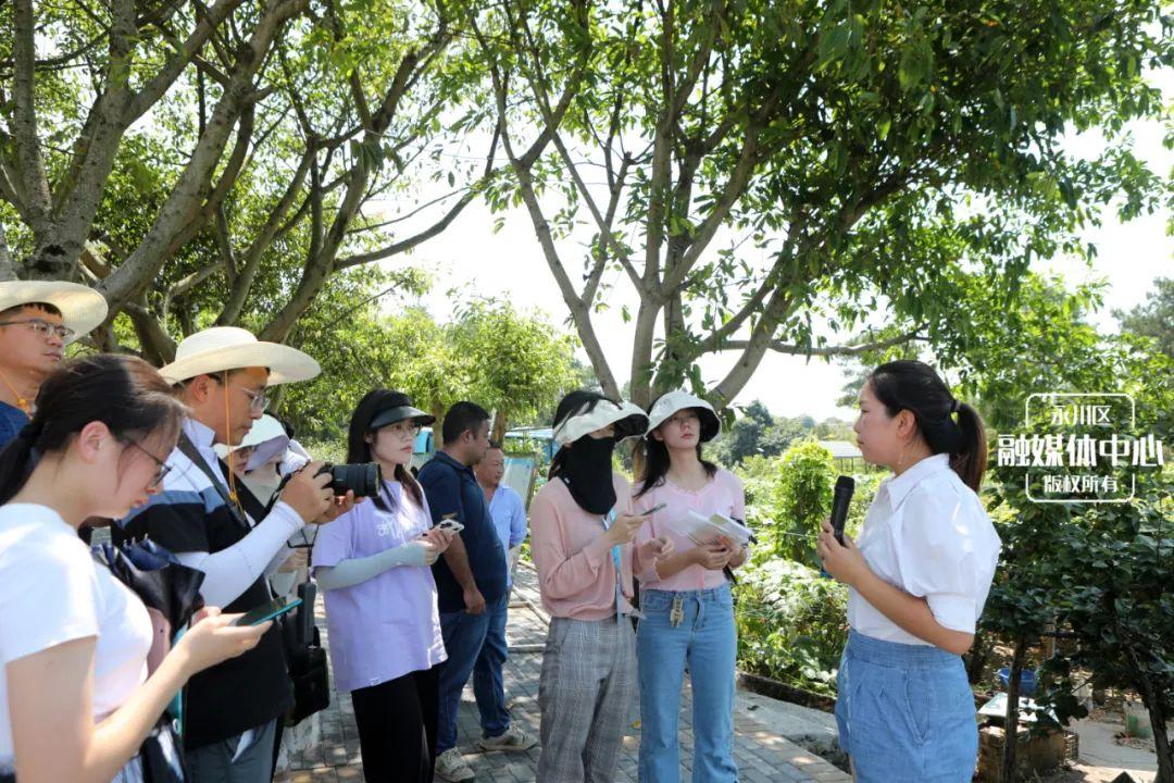 永川人才网最新招聘信息全面汇总