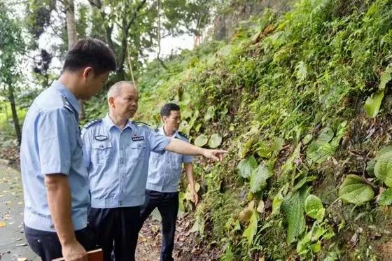 花滩林场最新招聘信息全解析