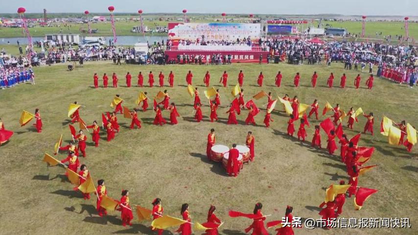 讷河市农业农村局最新动态报道