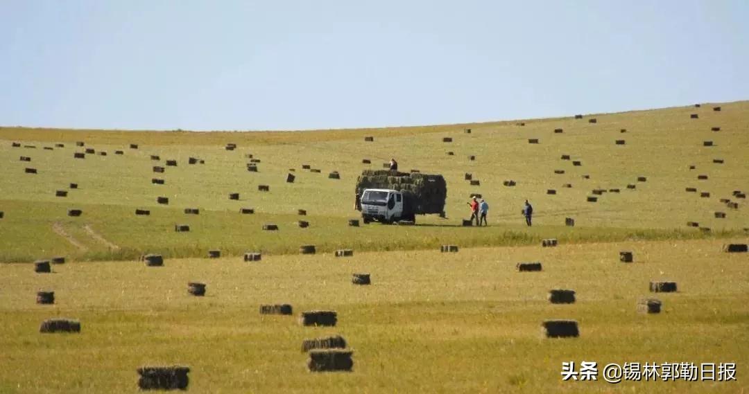 巴彦胡舒苏木乡天气预报更新通知