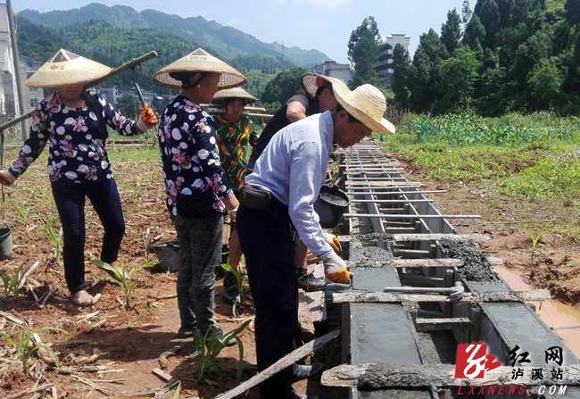 达岚镇最新项目，地区发展的强大引擎驱动力