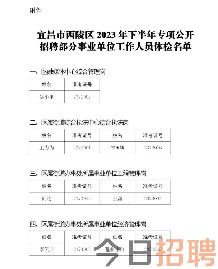 夷陵区民政局最新招聘信息详解