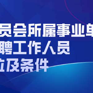 港闸区统计局最新招聘概览