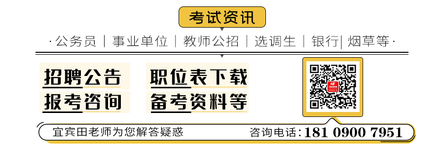 宜宾市旅游局最新招聘启事概览