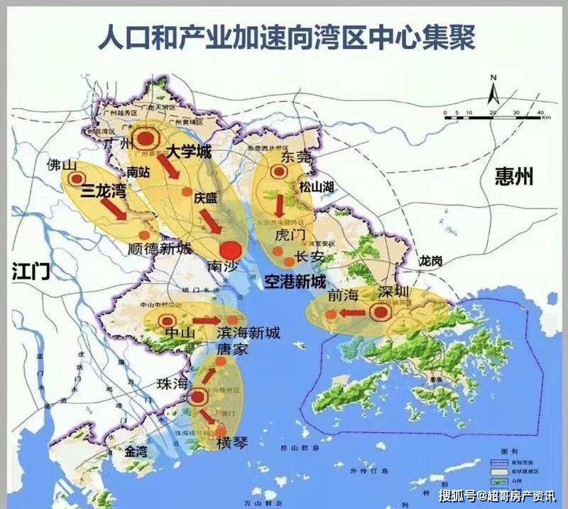 2024年12月4日 第31页