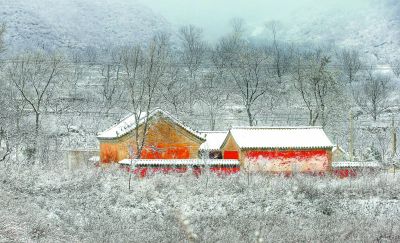 洼雪村交通新闻更新，迈向现代化交通新征程