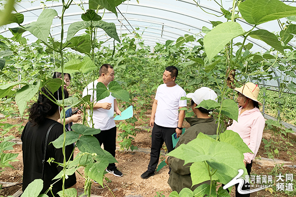 山西省大同市广灵县加斗乡最新招聘信息汇总