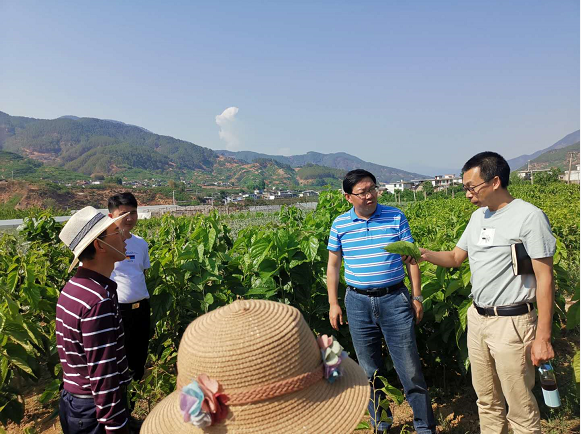 西沙群岛农业农村局推动农业现代化助力乡村振兴项目启动