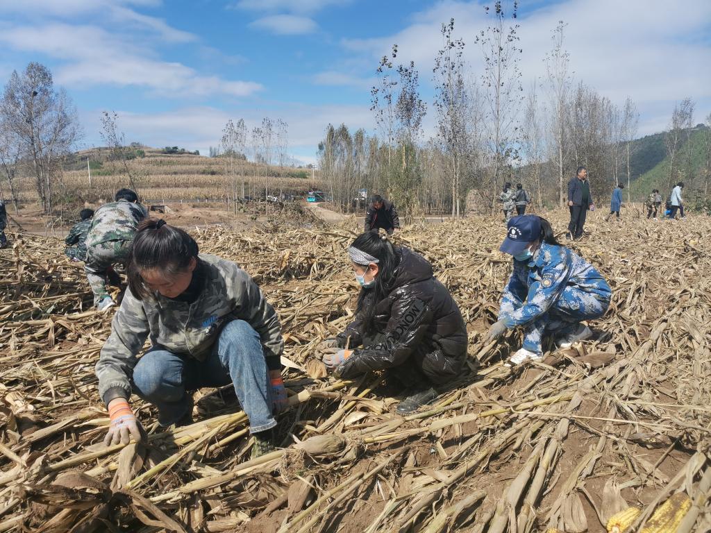 安泽县财政局新项目，推动地方经济发展的核心动力