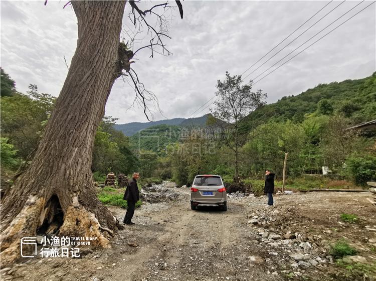 背后沟村民委员会最新动态报道