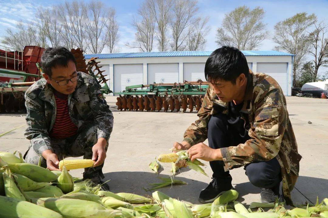 四方台子农场最新新闻速递