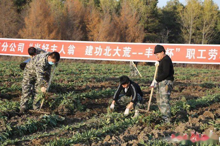 松花江农场新项目引领农业现代化先锋