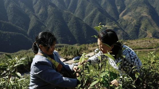 黄金瑶族乡交通新动向，迈向现代化交通新征程