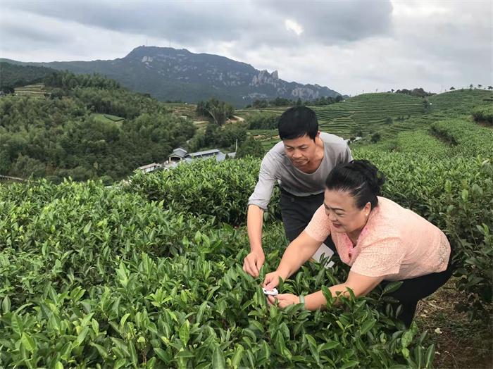 建阳市科技局最新领导团队概述