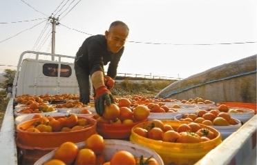 蒙古营乡未来蓝图，最新发展规划引领乡村重塑