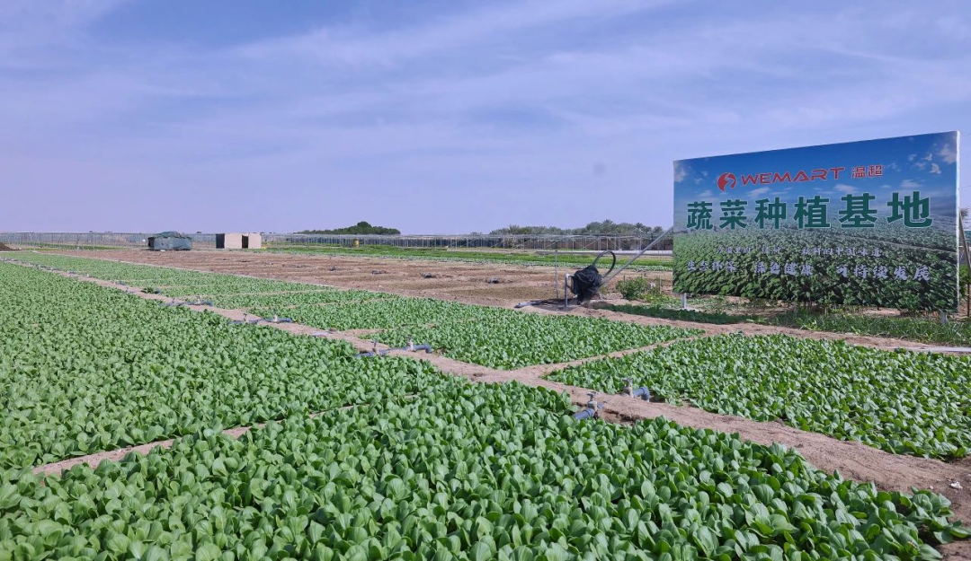 织贡农场交通升级与基础设施建设最新进展新闻速递