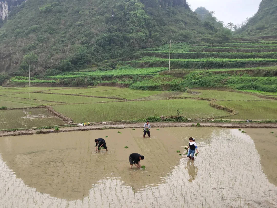 北牙瑶族乡最新天气预报