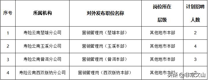 普洱市食品药品监督管理局最新招聘公告全面解析