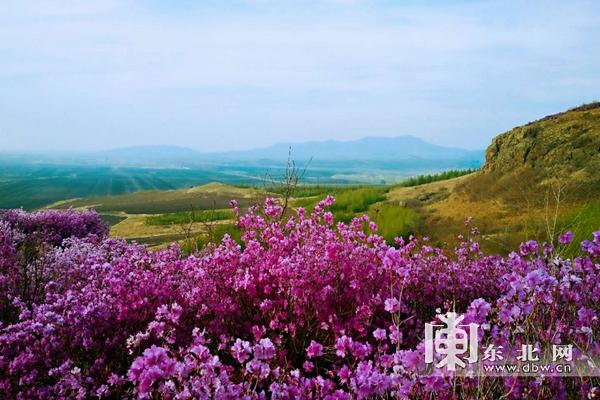 群胜乡未来繁荣新蓝图，最新发展规划揭秘