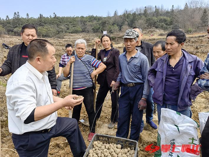 长田湾乡新项目，乡村振兴的新动力源泉