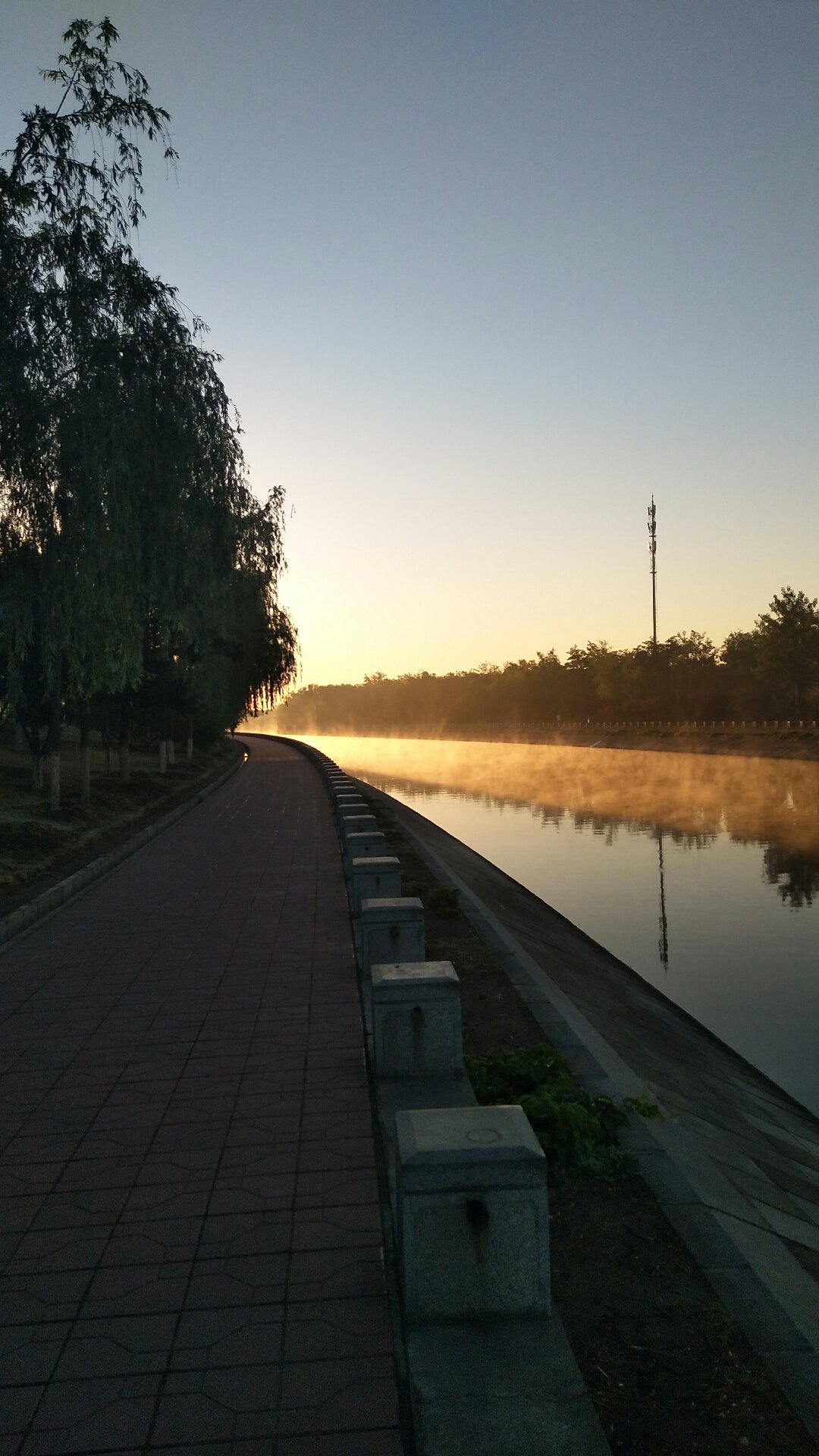 滨河路社区天气预报与生活指南