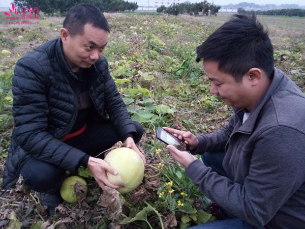 张家界市粮食局最新新闻动态