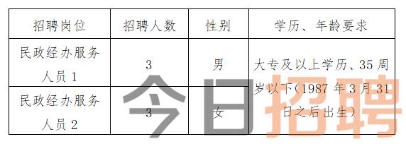 陵川县数据和政务服务局最新招聘信息全面解析