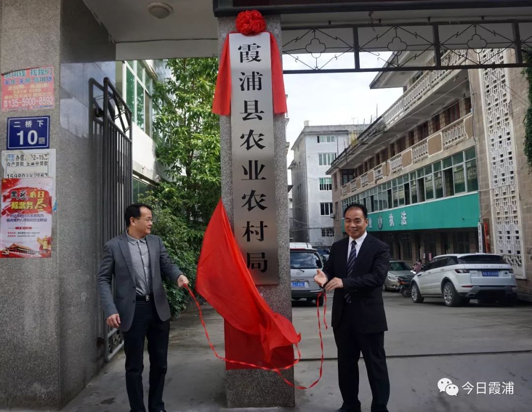 辽中县发展和改革局最新项目概览与动态