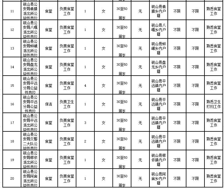 文山县公安局最新招聘启事