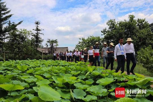 赵桥乡迈向繁荣与可持续未来的最新发展规划