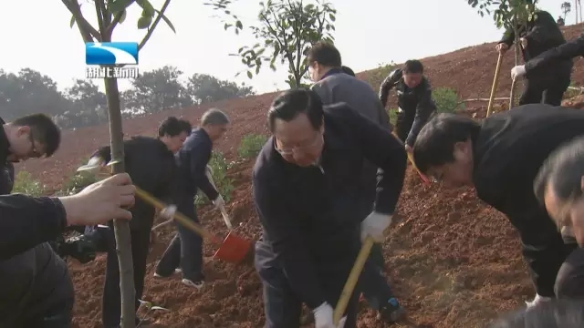 青龙山林场生态繁荣与绿色发展未来展望